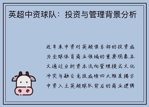 英超中资球队：投资与管理背景分析