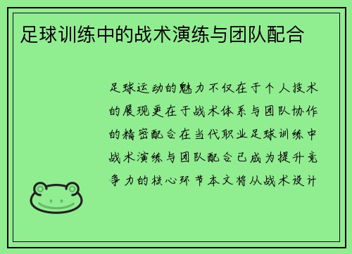 足球训练中的战术演练与团队配合